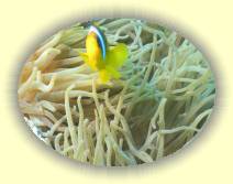 IMG_2007_05_27 18_26_11 * 2272 x 1704 * (452KB)